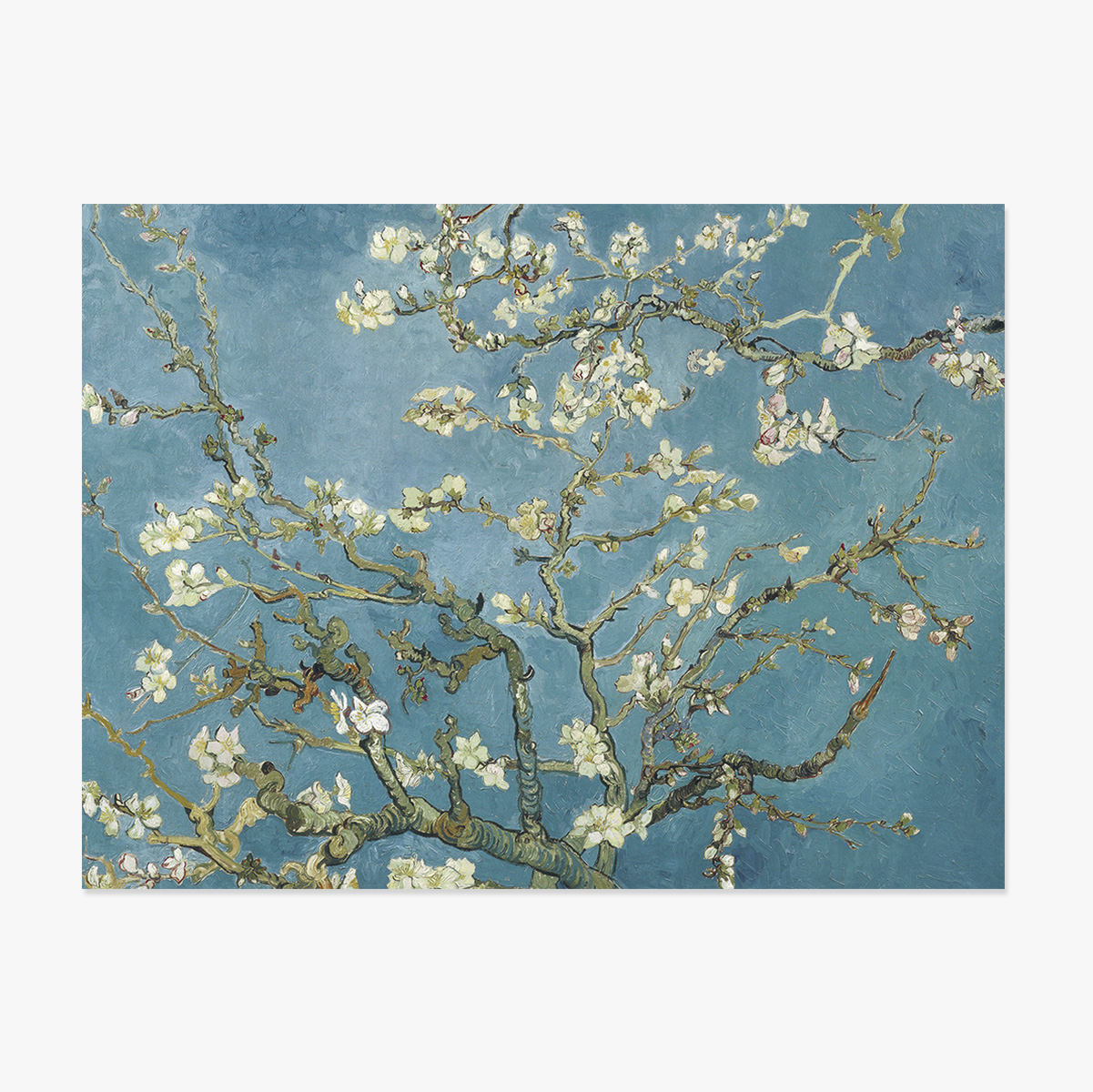 Tájkép poszter - Vincent Van Gogh - Mandulavirágos ágak 1890